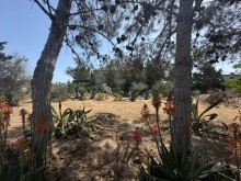 Satılır Torpaq suvelan, -3