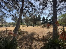 Satılır Torpaq suvelan, -6