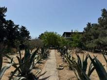 Satılır Torpaq suvelan, -10