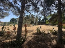 Satılır Torpaq suvelan, -12