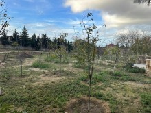 Satılır Torpaq mardakan, -9
