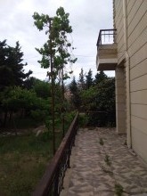 Mərdəkan villa evler, -5
