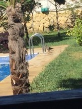 Şüvələn qəsəbəsi ziyaratgah yaxınlığında villa satılır, -5