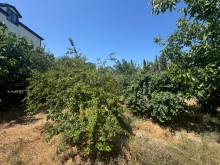 Satılır Torpaq merdekan, -5