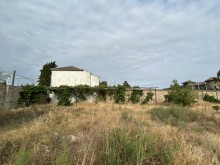 Shuvelanda Haci Movlan baglarinda ev satilir, -5