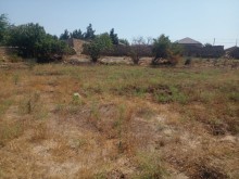 Türkanda torpaq satilir, -2