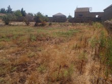 Türkanda torpaq satilir, -5
