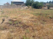 Türkanda torpaq satilir, -6