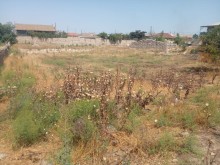 Türkanda torpaq satilir, -8
