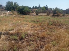 Türkanda torpaq satilir, -9