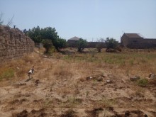 Türkanda torpaq satilir, -11