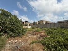 satilir-torpaq-baki-xezer-merdekan-3062-1755758762-s