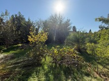 sale-land-baku-khazar-mardakan-3108-1760276185-s