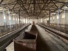 FERMA satılır Pirəkəşkül, -6