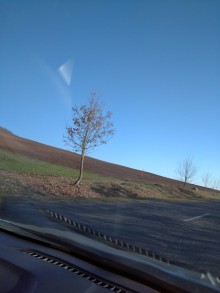 satilir-torpaq-baki-suraxani-zig-hezi-aslanov-1763897654-s