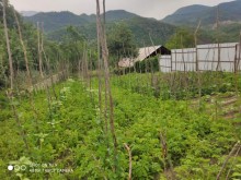 A house is for sale on the Ismayilli–Lahij road, offering an excellent panoramic view of the mountai, -6